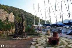 Ekincik Limanı photo 9