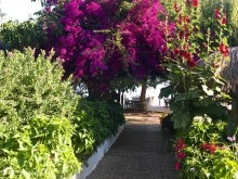 Turunç Pınarı Koyu photo 16