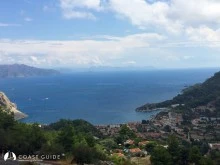 Turunç photo 9