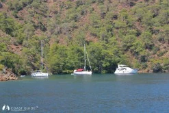 Boynuzbükü photo 3