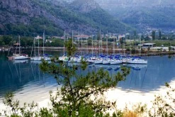 Orhaniye photo 26