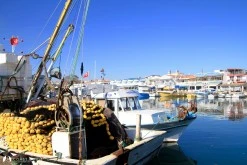 Dalyanköy photo 9