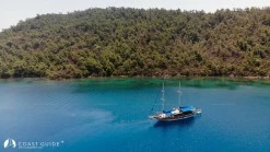 Çamurlu Koy photo 19
