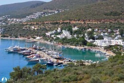 Torba photo 8