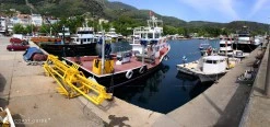 Marmara Adası Barınağı photo 7