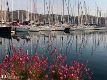 Ece Saray Marina photo 21