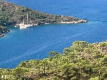 Babuş Bükü photo 2