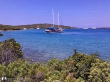 Çamaltı Koyu photo 15