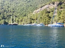 Sarsala Koyu photo 19