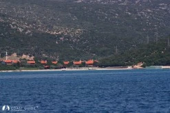 Nergis Koyu photo 5
