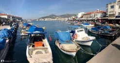 Eski Foça photo 25