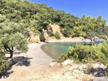 Darboğaz Koyu photo 13