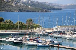 Egesu Güllük Marina photo 11