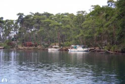 Löngöz photo 6
