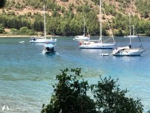 Killebükü photo 16