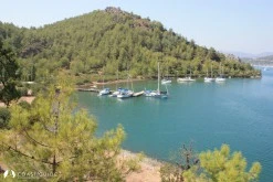 Orhaniye photo 22