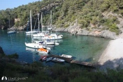 Bektaş(Kalevezi) Koyu photo 3