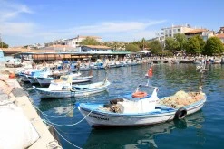 Dikili Limanı photo 17