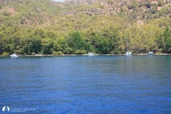 Kargılık Koyu (Atbükü-Günlüklü) photo 6