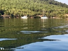 Ilıca Bükü - Çomça photo 19