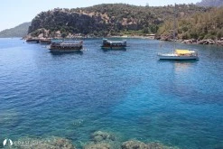 Amos(Asarcık) Koyu photo 17