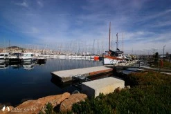 Marintürk Pendik Marina (City Port) photo 14