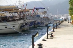 Albatros Marina photo 25