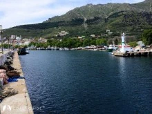 Marmara Adası Barınağı photo 6