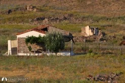 Çıplak Ada photo 9