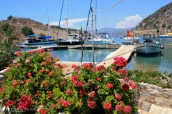 Tersane Koyu photo 8