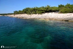 Çam Limanı (Özdere) photo 14