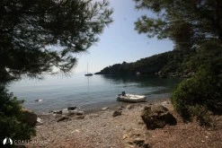 Armutlu Su Koyu photo 10