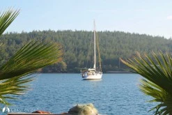 Güvercinlik Koyu photo 8