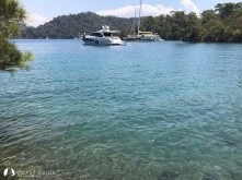 Eğri Çam (İnceburun) Koyu photo 11