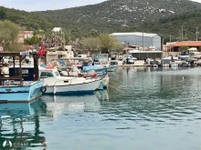 Özbek Limanı photo 11