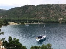 Killebükü photo 12