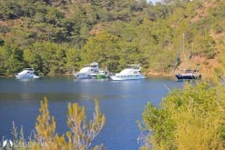 Göcek Adası Büyük Koy photo 8