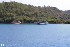 Uzun Liman photo 8
