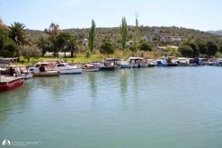 Bademli photo 8