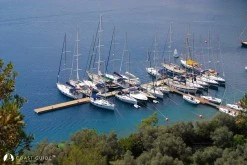 Global Sailing Marinet photo 10