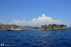 Aşılık Koyu photo 8