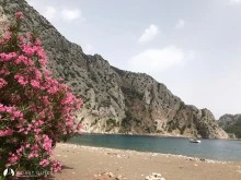 Sazak Limanı photo 12