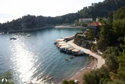 Turunç photo 19