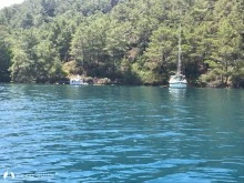 Günlüklü Koy photo 12