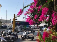 Milta Bodrum Marina photo 24