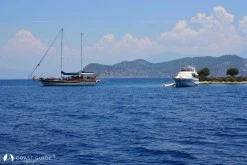 Aşılık Koyu photo 6