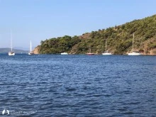 Küfre Koyu photo 11