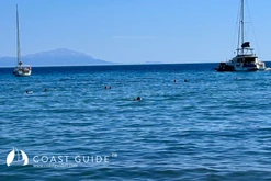 Altınkoy(Ömerali) photo 7