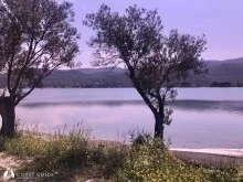 Bademli photo 26