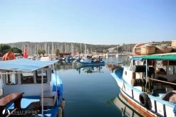 Teos Marina photo 19